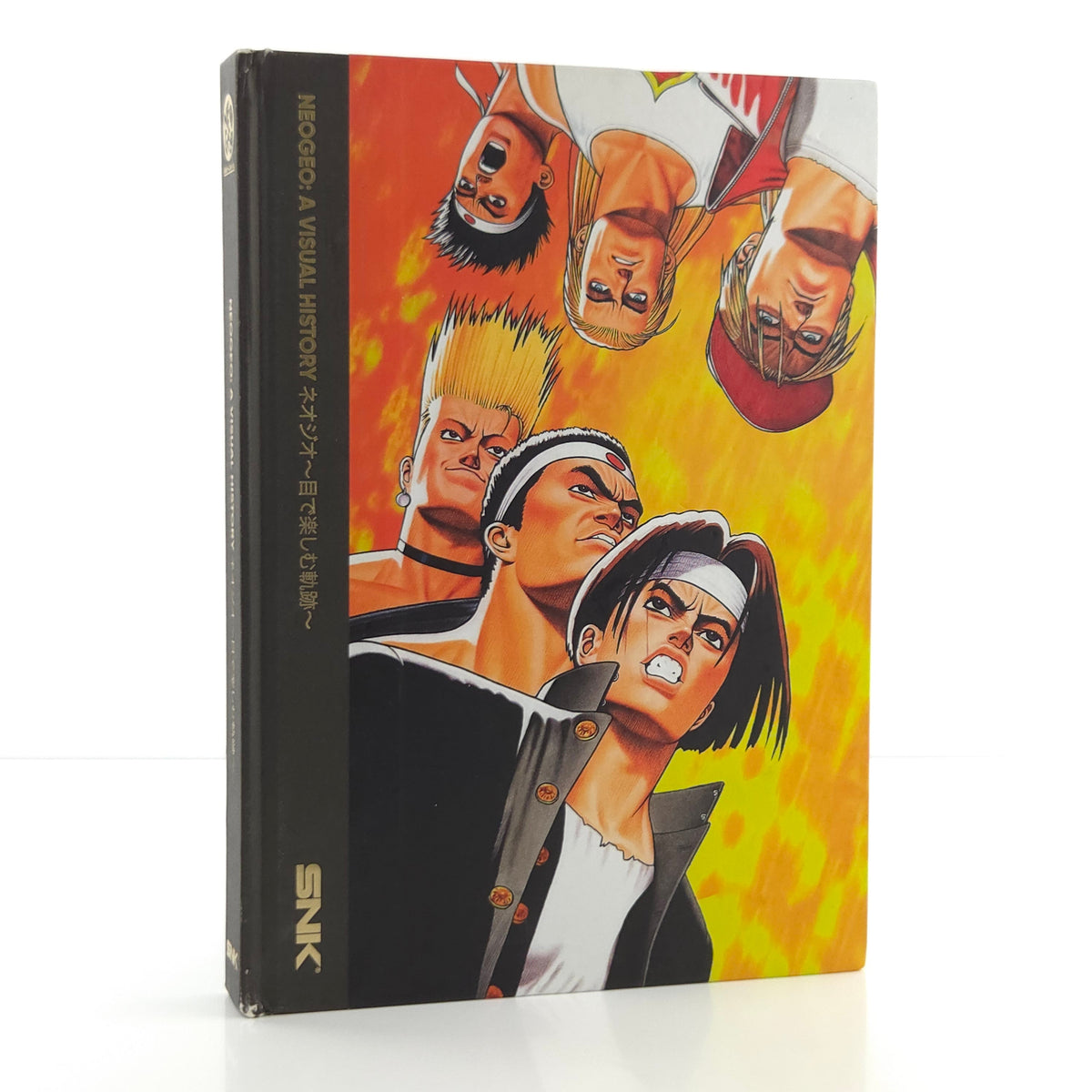 NeoGeo Buch A Visual History Englisch Gebraucht