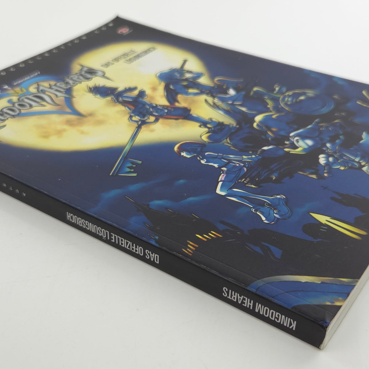 Playstation 2 Spieleberater Disneys Kingdom Hearts PS2 Buch