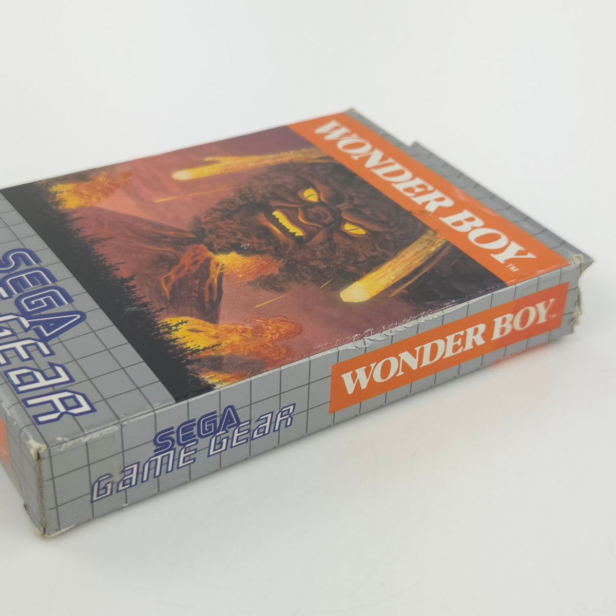 Sega Game Gear Spiel Wonder Boy Modul Anleitung OVP PAL